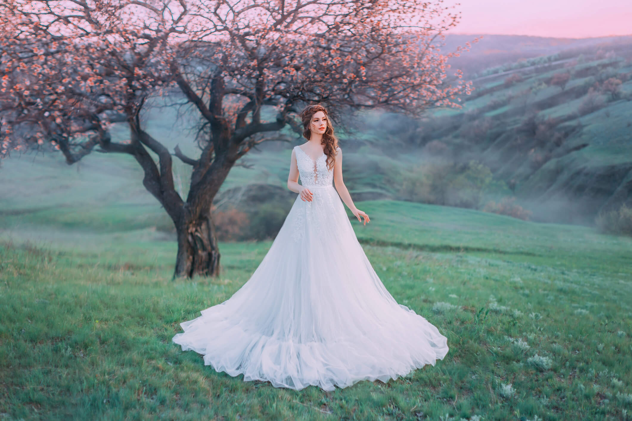 Fairytale discount wedding ideas